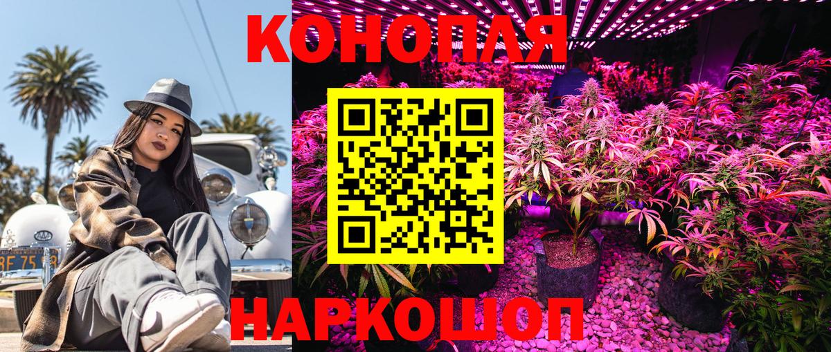 Марихуана марихуана Нижний Тагил